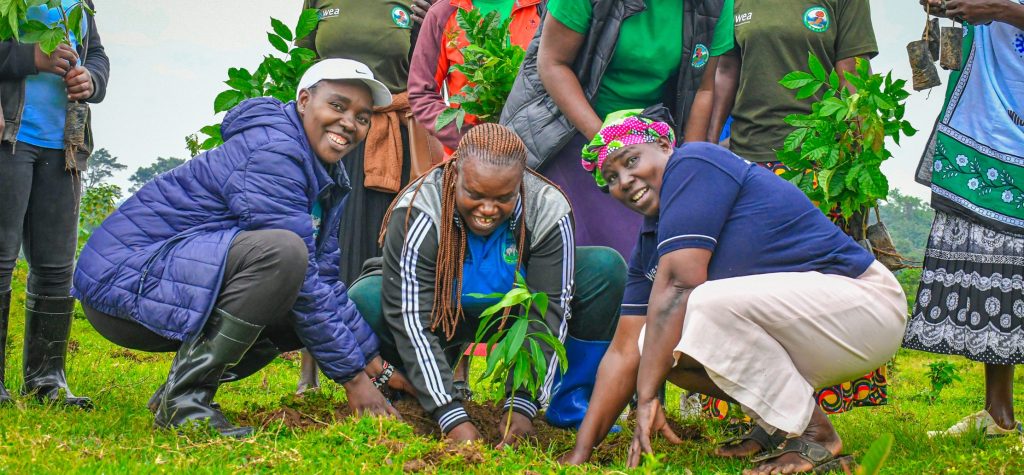 Enhancing Biodiversity through partnership.