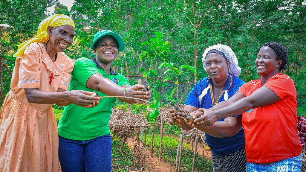 Thriving Trees and Flourishing Nurseries: Progress in Kakamega Forest Restoration