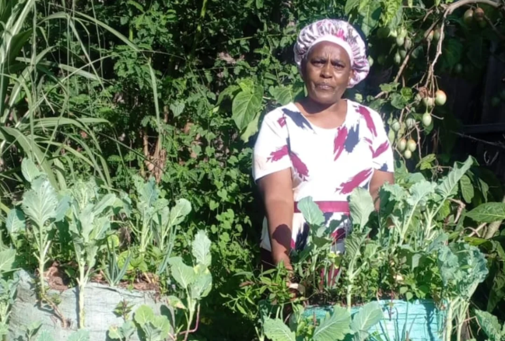 Revolving Fund Opens New Economic Opportunities for Women in Trans Nzoia