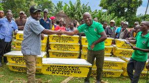 Restoring Kobujoi Through Trees and Sustainable Livelihoods