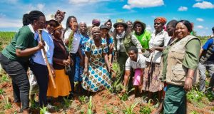 WWANC Joins The Nation In Commemorating Mazingira Day 2026